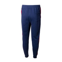 Брюки мужские Radder Molte синие 220076-450 изображение 2