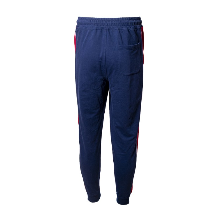 Брюки мужские Radder Molte синие 220076-450 изображение 2