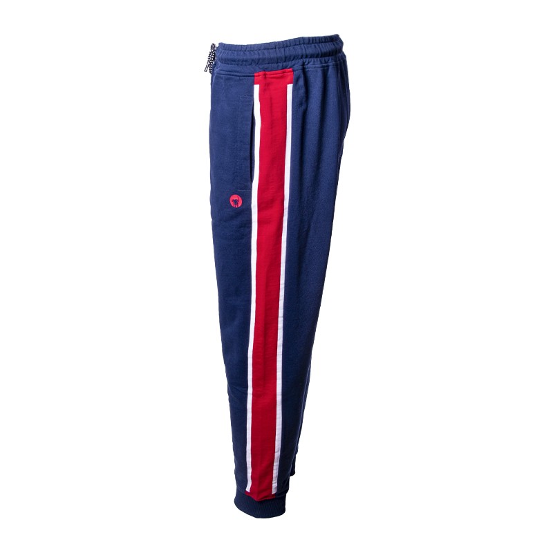 Брюки мужские Radder Molte синие 220076-450 изображение 3