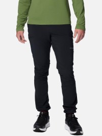 Брюки мужские Columbia Triple Canyon™ Pant II черные 2072051-011 изображение 2