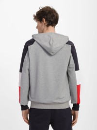Толстовка чоловіча Radder Bisonte сіра 442201-011 изображение 4