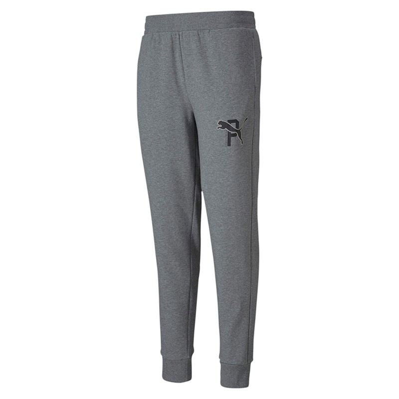 Брюки мужские Puma Athletics Pants серые 58346103 изображение 1