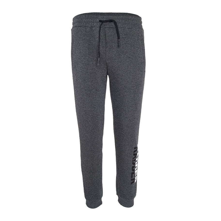 Брюки мужские Radder Hatch темно-серые 442066-020 изображение 2