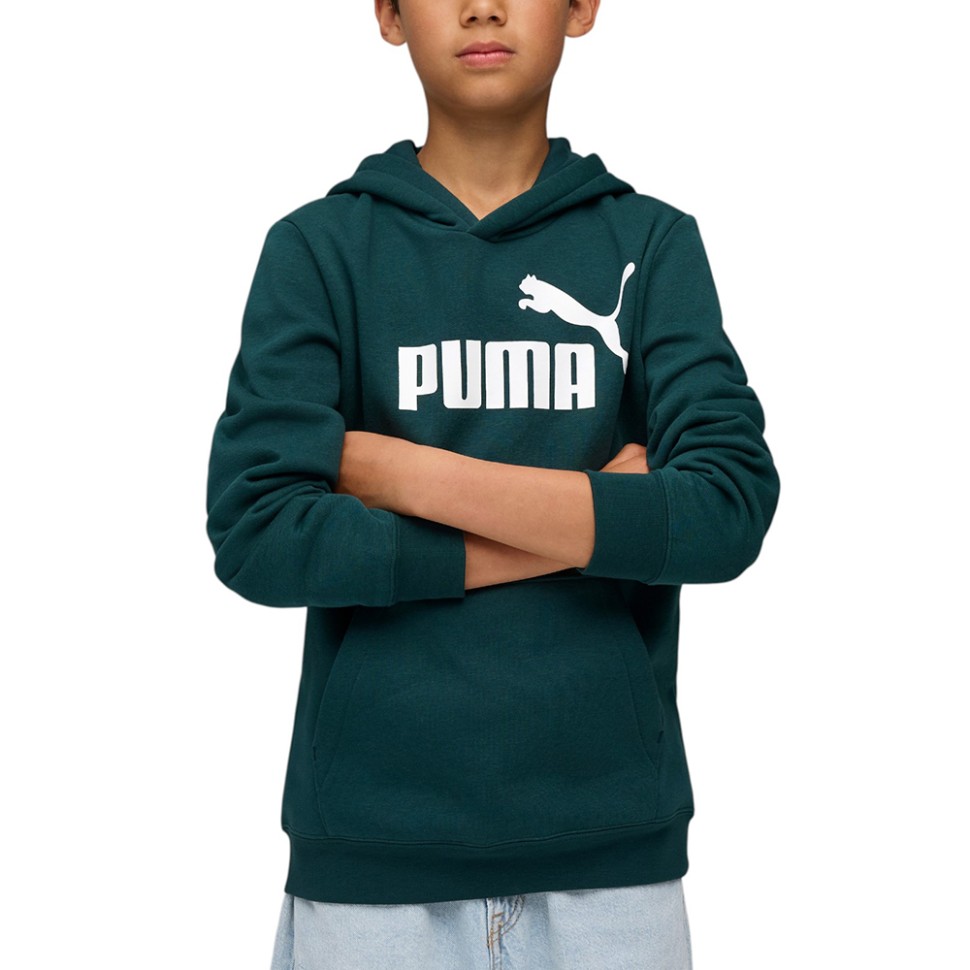 Толстовка дитяча Puma ESS No. 1 Logo Hoodie FL зелена 68490875 — фото 1