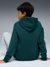 Толстовка детская Puma ESS No. 1 Logo Hoodie FL зеленая 68490875 изображение 3