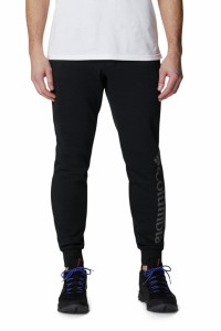 Брюки мужские Columbia M CSC Logo™ Fleece Jogger II черные 1911601-012 изображение 2