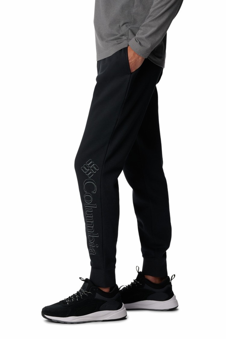 Брюки мужские Columbia M CSC Logo™ Fleece Jogger II черные 1911601-015 изображение 3