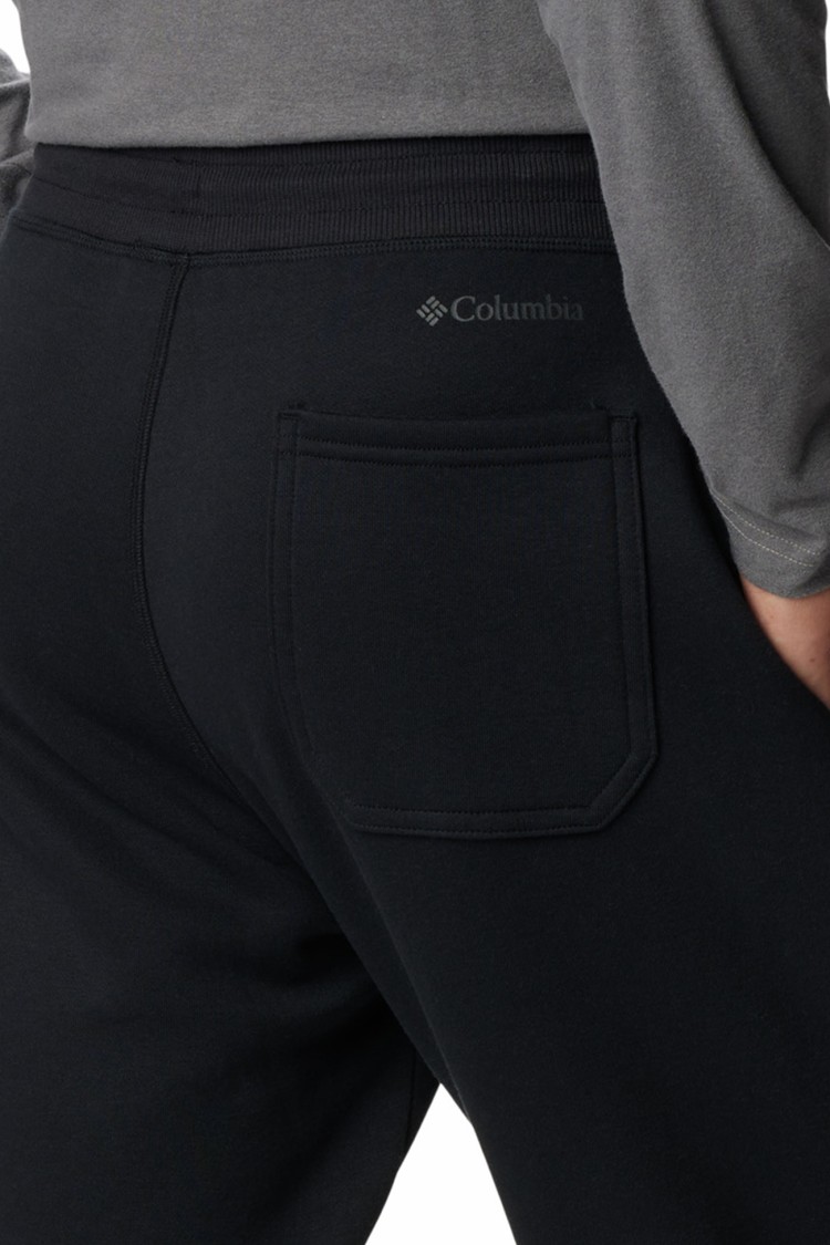 Брюки мужские Columbia M CSC Logo™ Fleece Jogger II черные 1911601-015 изображение 5