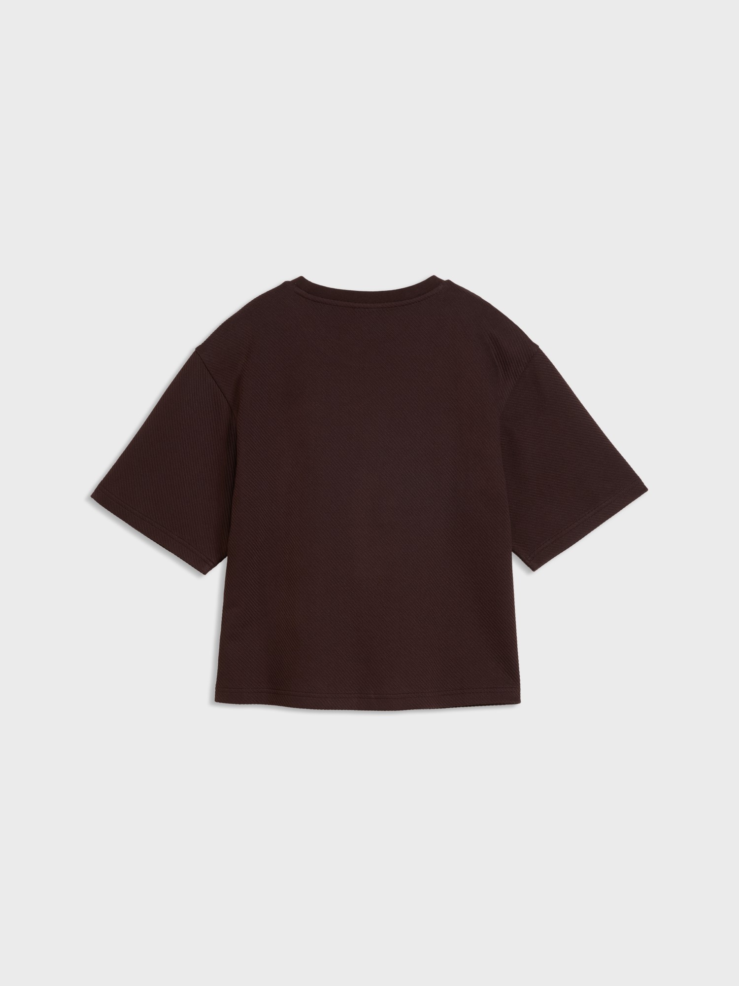 Футболка женская Puma ESS ELEVATED Relaxed Tee коричневая 69575133 изображение 6