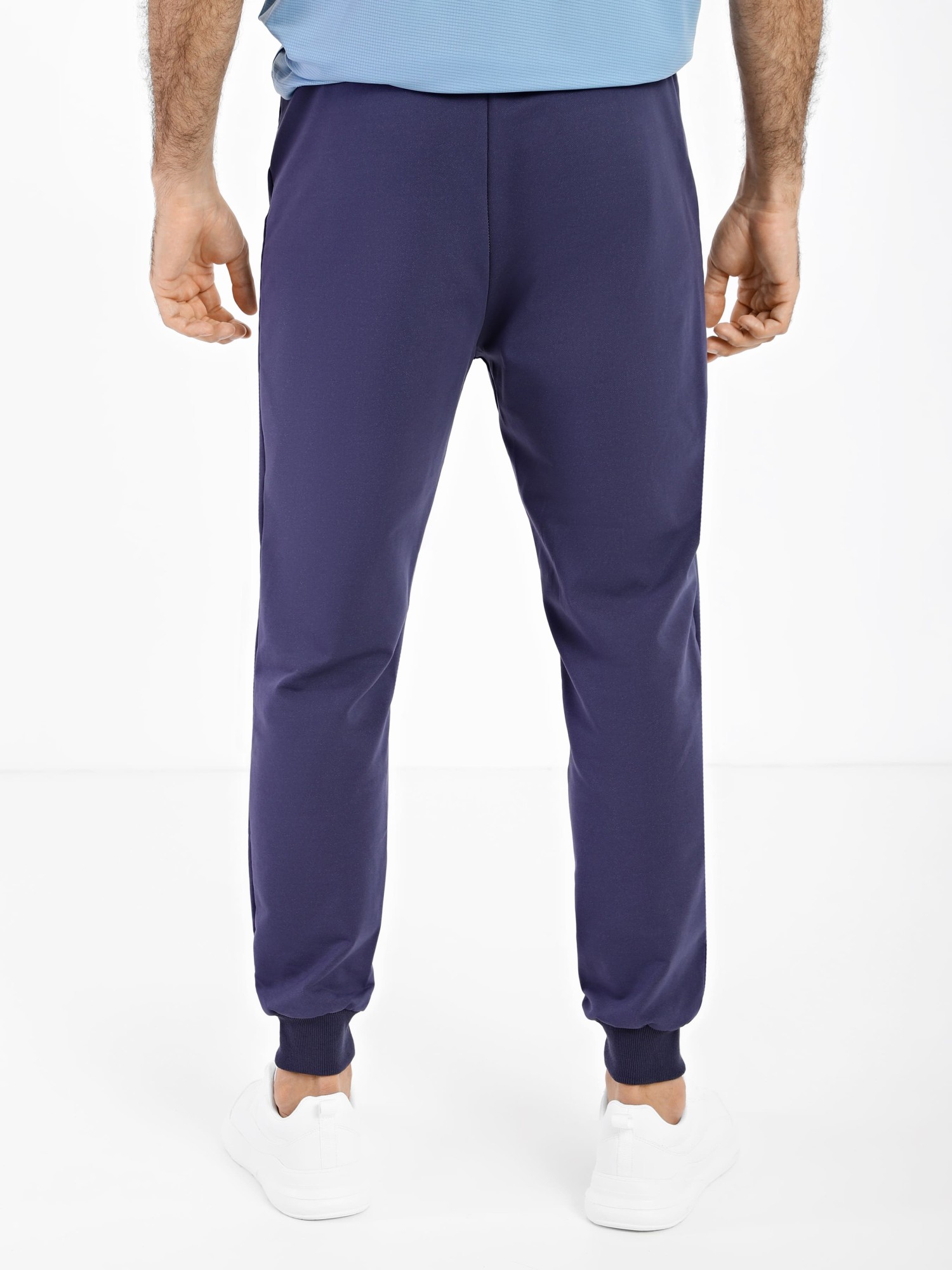 Брюки мужские Radder Krone синие 442229-410 изображение 2