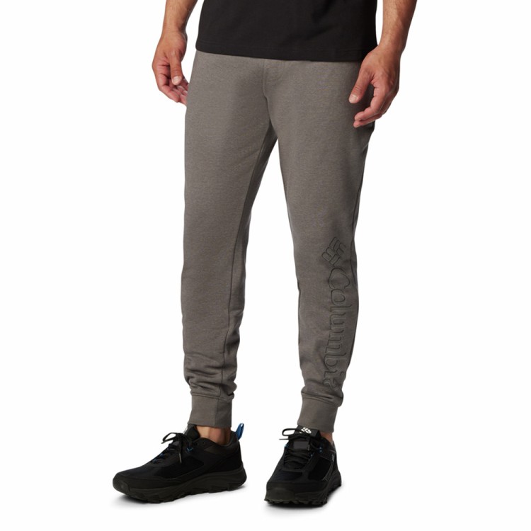 Брюки мужские Columbia M CSC Logo™ Fleece Jogger II серые 1911601-026