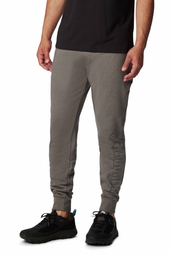 Брюки мужские Columbia M CSC Logo™ Fleece Jogger II серые 1911601-026 изображение 2