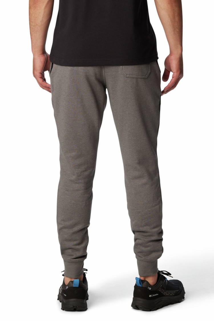 Брюки мужские Columbia M CSC Logo™ Fleece Jogger II серые 1911601-026 изображение 4