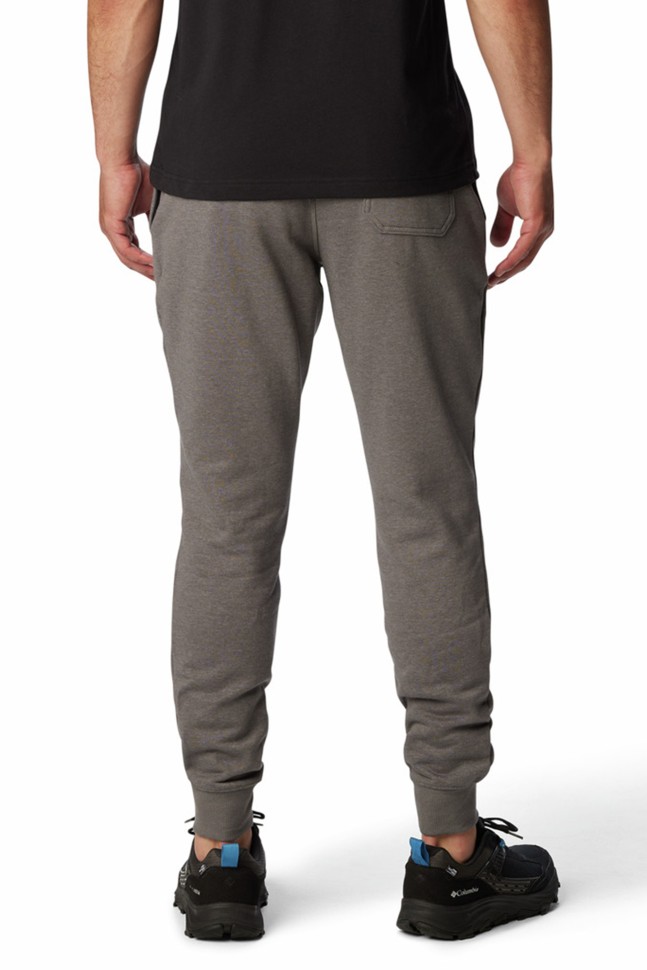 Брюки мужские Columbia M CSC Logo™ Fleece Jogger II серые 1911601-026 изображение 4