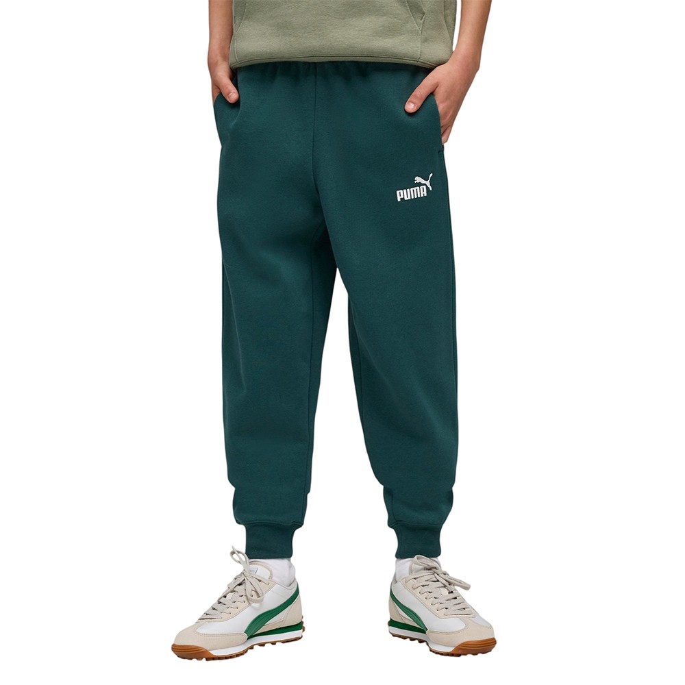Брюки детские Puma ESS No. 1 Logo Sweatpants FL зеленые 68491275 изображение 1