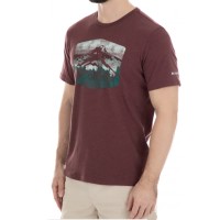 Футболка мужская Columbia Columbia Warren Grove™ Tee бордовая 1872711-615 изображение 2