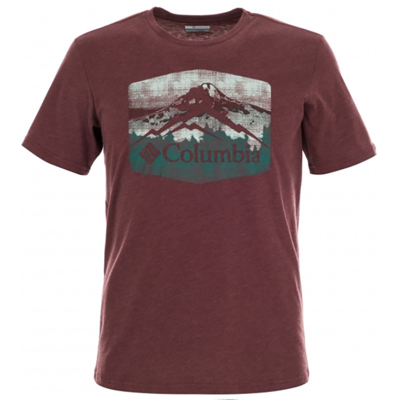 Футболка мужская Columbia Columbia Warren Grove™ Tee бордовая 1872711-615 изображение 1
