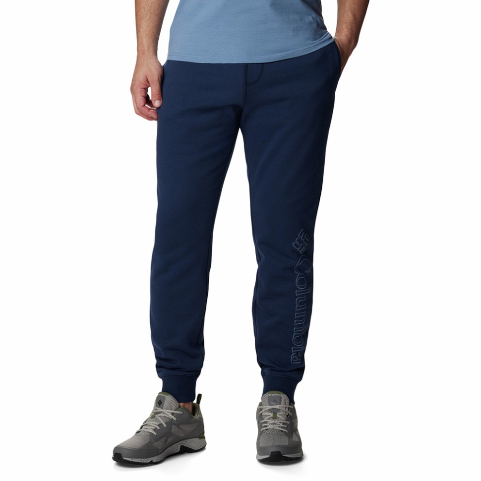 Штани чоловічі Columbia M CSC Logo™ Fleece Jogger II сині 1911601-468 — фото 1
