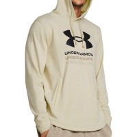 Толстовка мужская Under Armour UA Rival Terry Graphic Hood бежевая 1386047-273 изображение 1