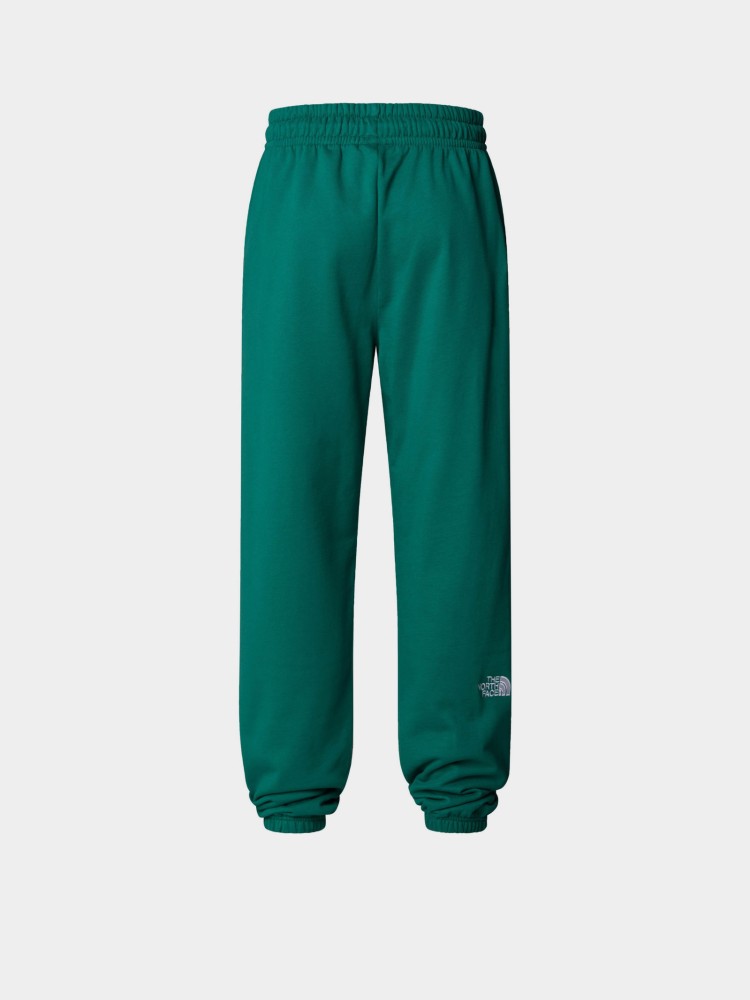 Штани жіночі The North Face W ESSENTIAL зелені NF0A8A6KNL11 изображение 1