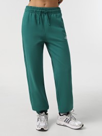 Штани жіночі The North Face W ESSENTIAL зелені NF0A8A6KNL11 изображение 7