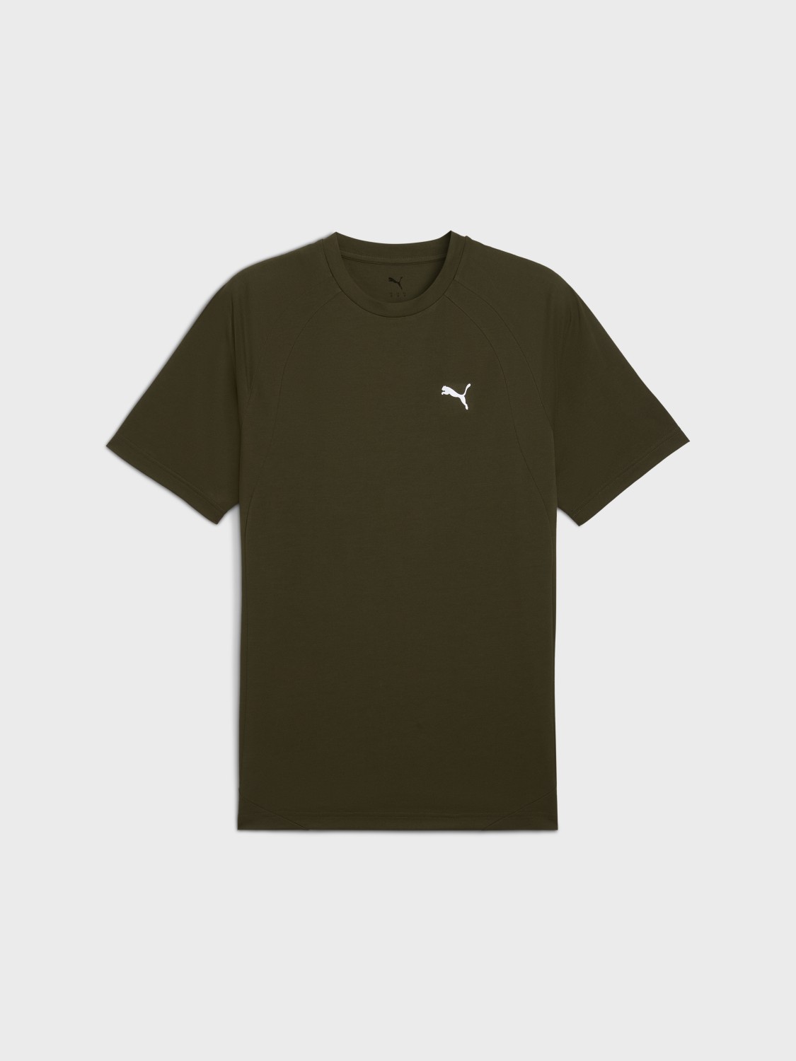 Футболка мужская Puma EVOSTRIPE Tee хаки 68822970 изображение 5