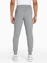 Брюки мужские Puma ESS PUMA Pants TR cl M серые 84723402 изображение 3