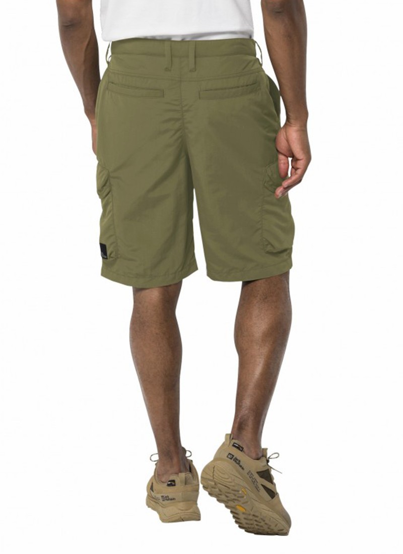 Шорти чоловічі Jack Wolfskin KALAHARI CARGO M зелені 1508381-4511 изображение 3