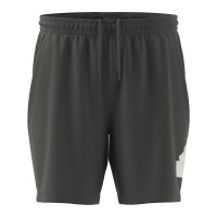 Шорты мужские Adidas M FI BOS SHO графитовые IR9168 изображение 1