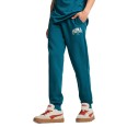 Штани чоловічі Puma PUMA SQUAD Sweatpants FL cl зелені 68180022