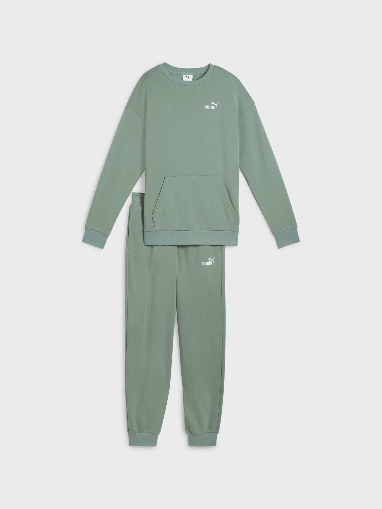 Костюм женский Puma Relaxed Sweat Suit TR cl зеленый 68507430 изображение 7