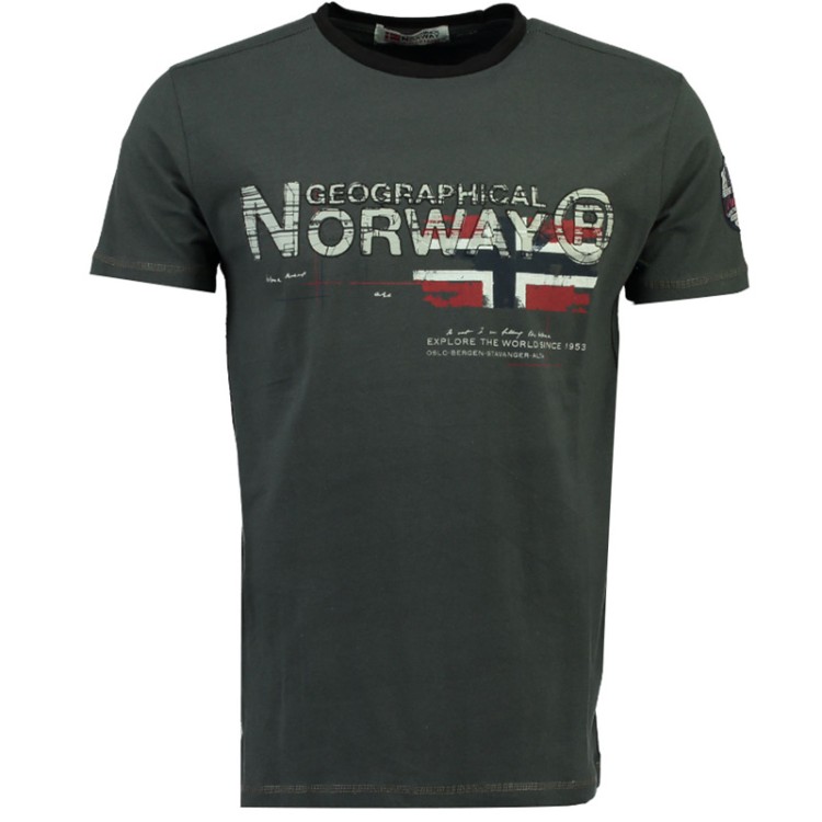 Футболка мужская Geographical Norway серая SR116H-020 изображение 1
