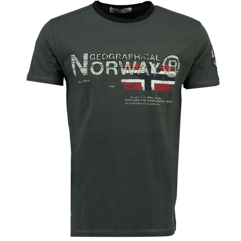 Футболка мужская Geographical Norway серая SR116H-020 изображение 1