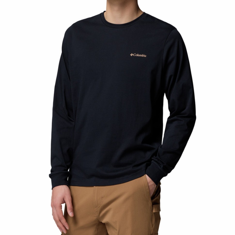 Толстовка чоловіча Columbia CSC™ Seasonal Logo LS Tee чорна 2013541-007 — фото 1