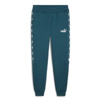 Брюки мужские Puma ESS+ Tape Sweatpants FL cl зеленые 84904208 изображение 1