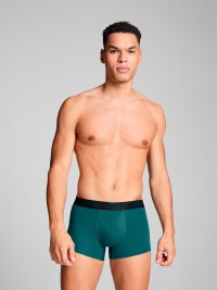 Нижнее белье мужское Puma PUMA MEN EVERYDAY TRUNK 2P зеленое 93832114 изображение 4