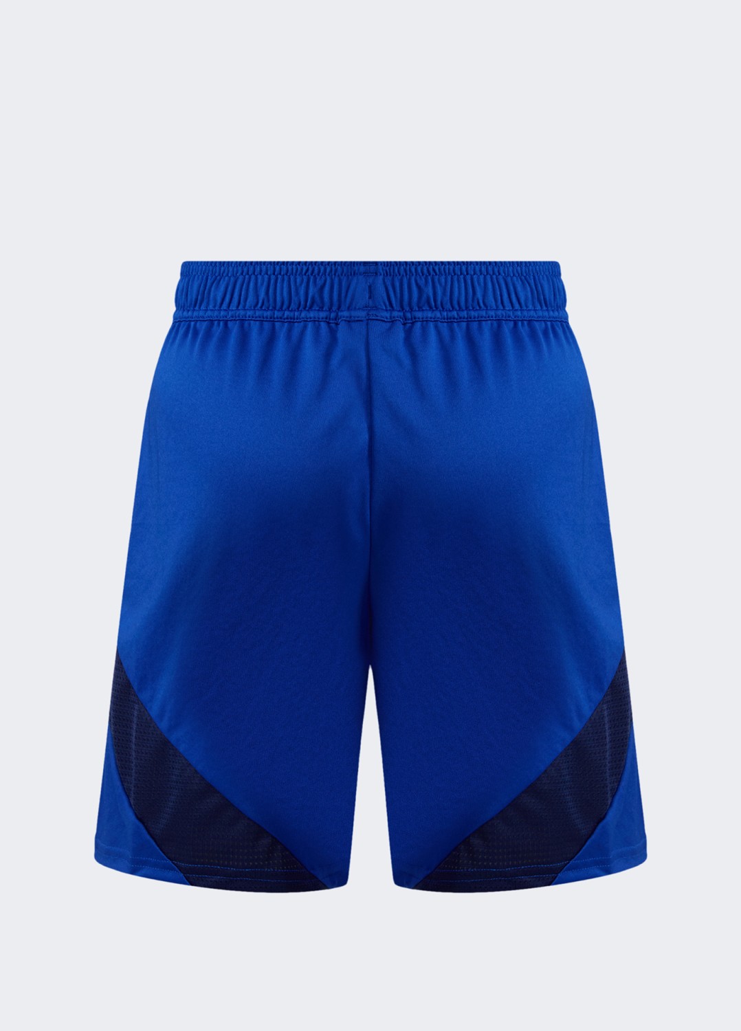 Шорты мужские Adidas cuLIC24 SHO голубые IK2248 изображение 10