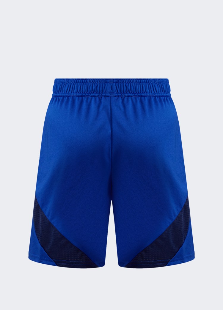 Шорты мужские Adidas cuLIC24 SHO голубые IK2248 изображение 10