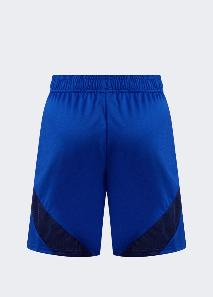 Шорты мужские Adidas cuLIC24 SHO голубые IK2248 изображение 10