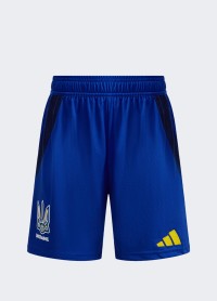 Шорты мужские Adidas cuLIC24 SHO голубые IK2248 изображение 9