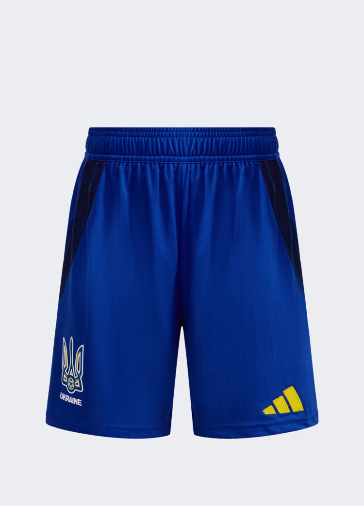 Шорты мужские Adidas cuLIC24 SHO голубые IK2248 изображение 9