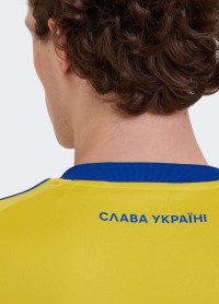 Футболка мужская Adidas cuLIC24 JSY RG желтая IK2251 изображение 6