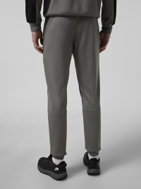 Брюки мужские Evoids Aurexa темно-серые 112603-020 изображение 3