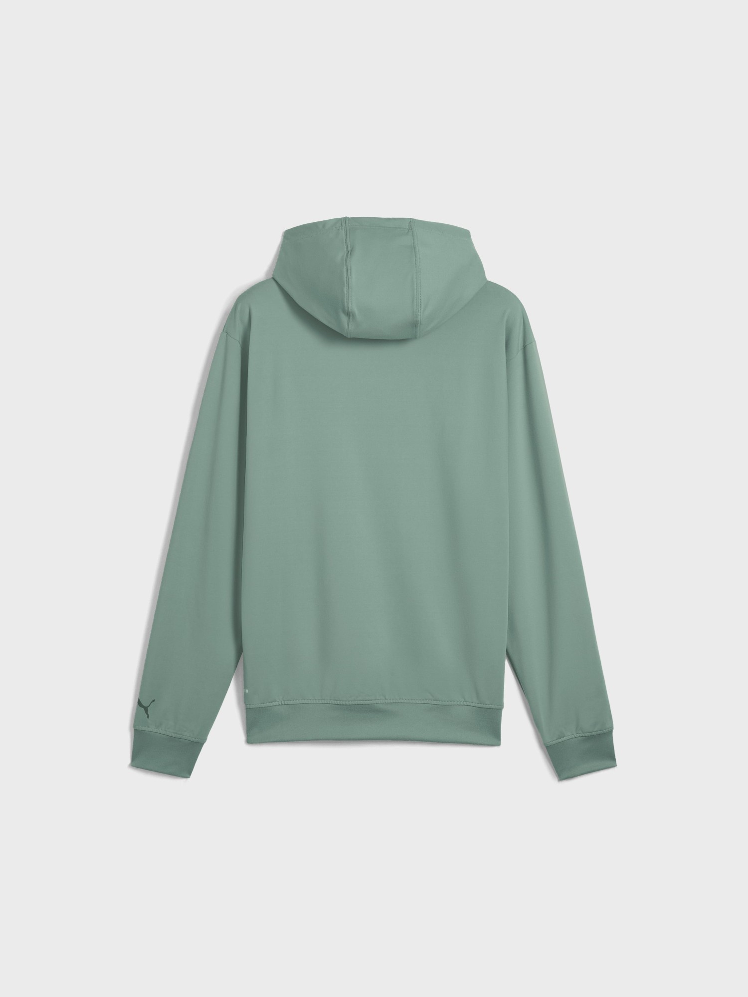Толстовка мужская Puma CLOUDSPUN BRANDED HOODIE зеленая 52667830 изображение 8