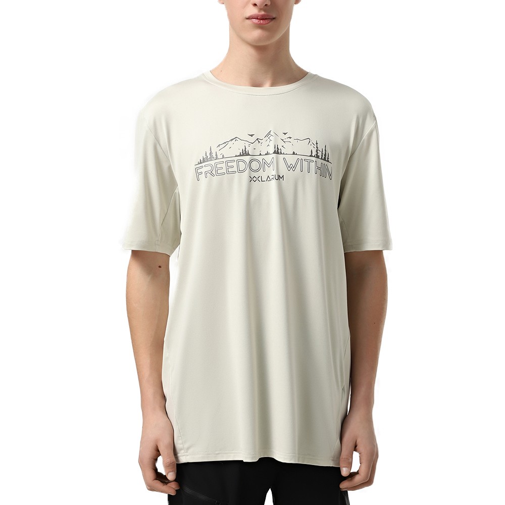 Футболка мужская Larum Dylan серая 942501-011