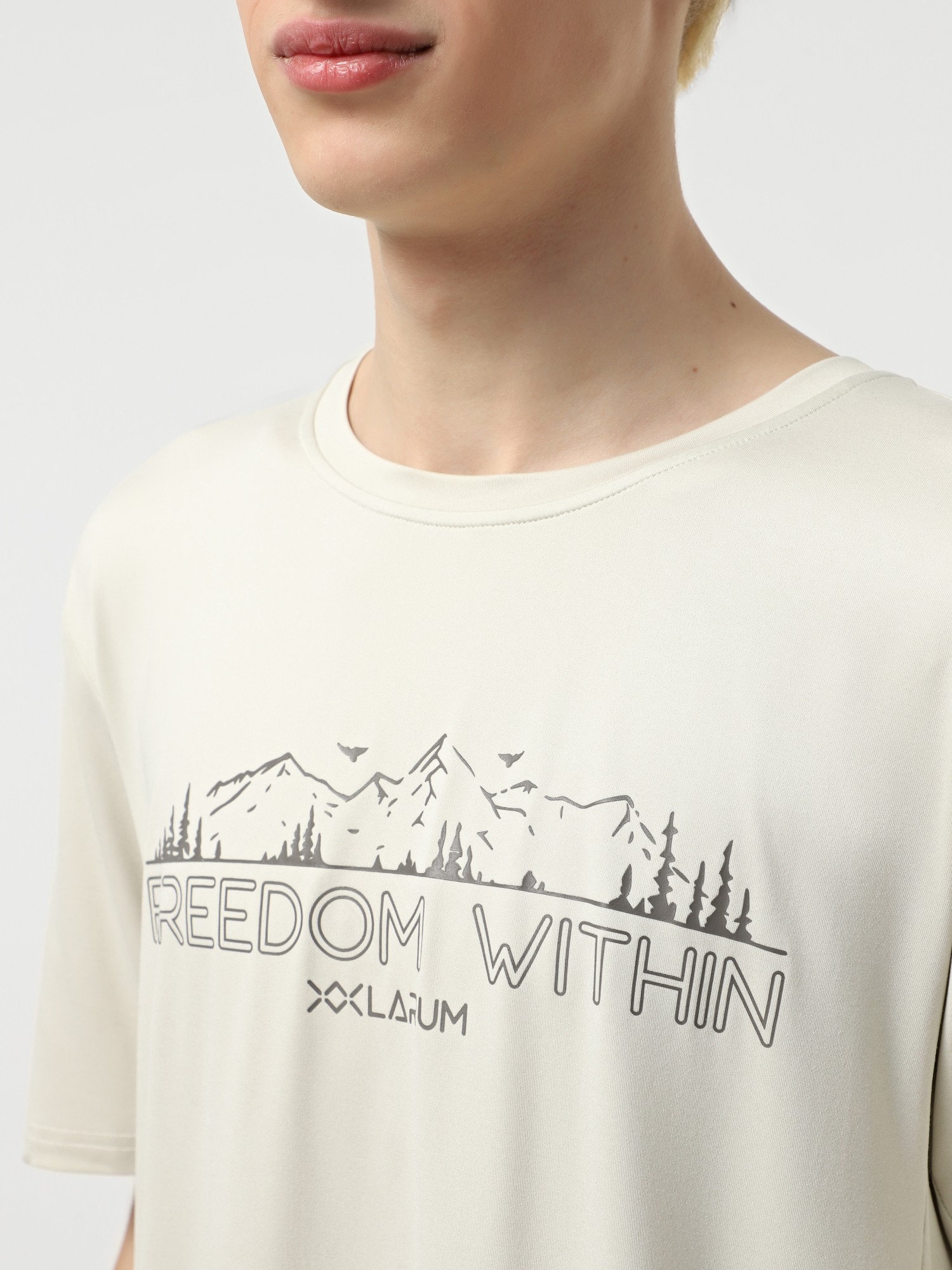 Футболка чоловіча Larum Dylan сіра 942501-011 изображение 4