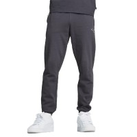 Брюки мужские Puma BETTER ESSENTIALS Sweatpants FL cl серые 67681669 изображение 1