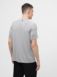 Футболка чоловіча Radder Ipswich сіра 502422-011 изображение 2