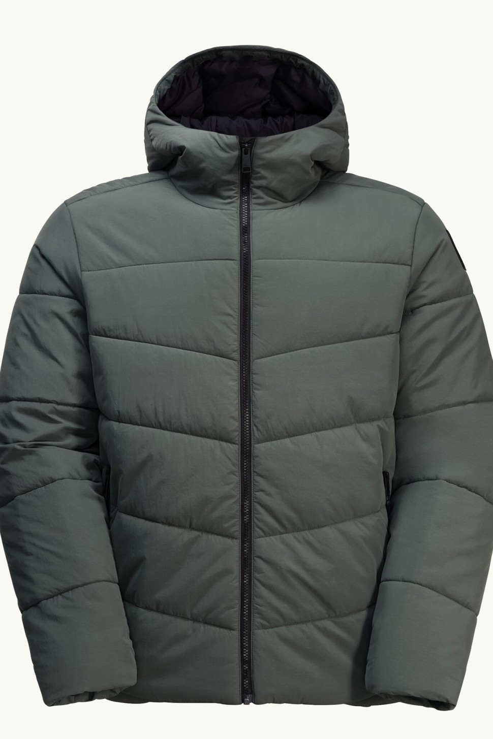 Куртка чоловіча Jack Wolfskin KAROLINGER JKT M зелена 1207831-4136 — фото 8