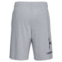 Шорты мужские Under Armour SPORTSTYLE серые 1329300-035 изображение 2